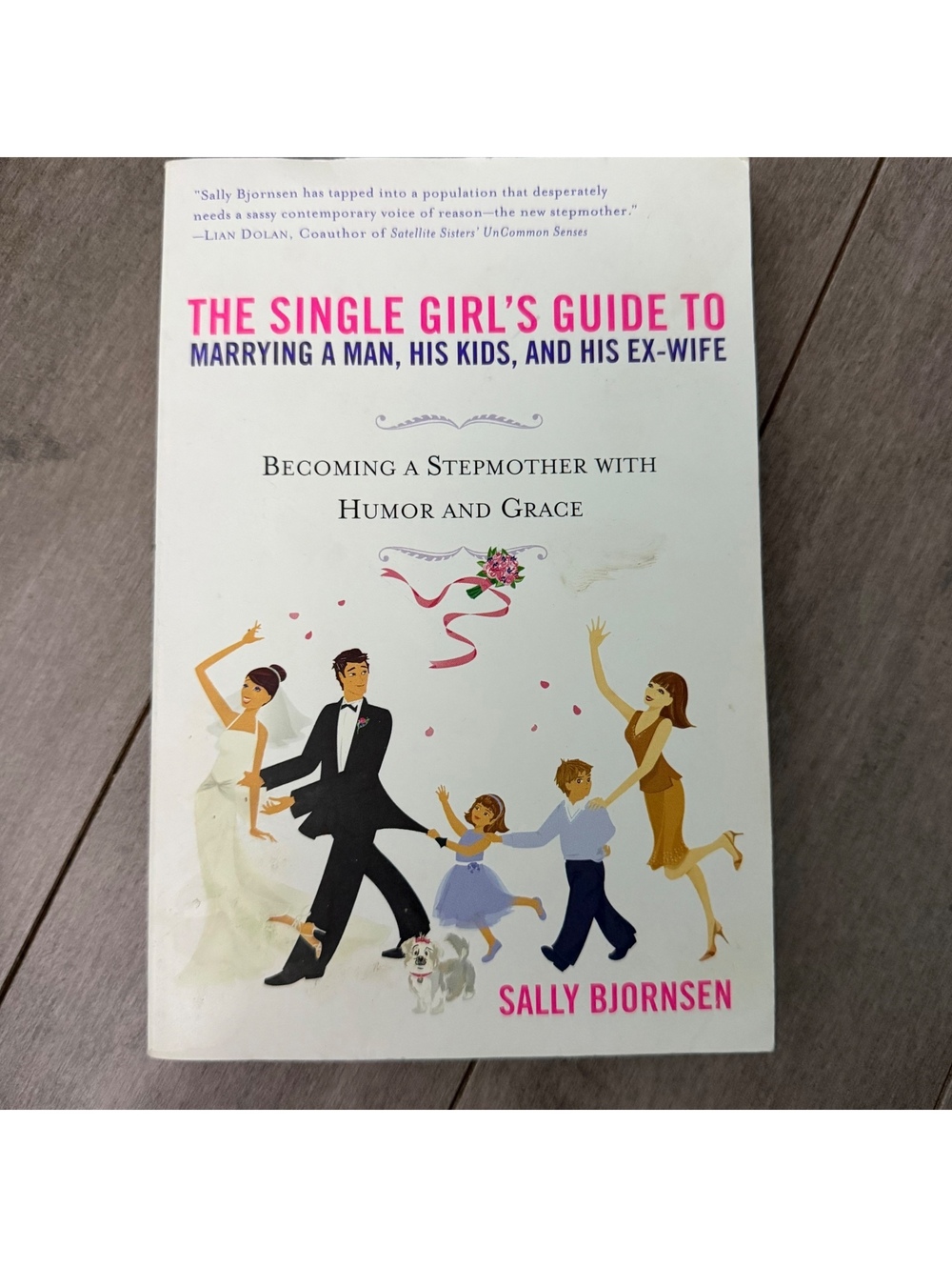 The Single Girl's Guide to Marrying a Man, His Kids, and His Ex-Wife by Sally Bj